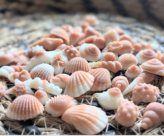 Seashells Wax Melts